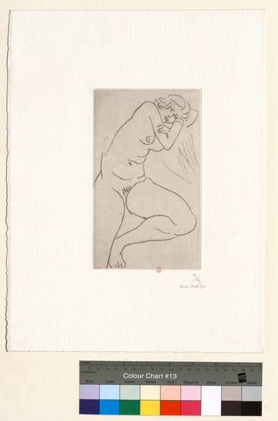  tekijältä Henri Matisse