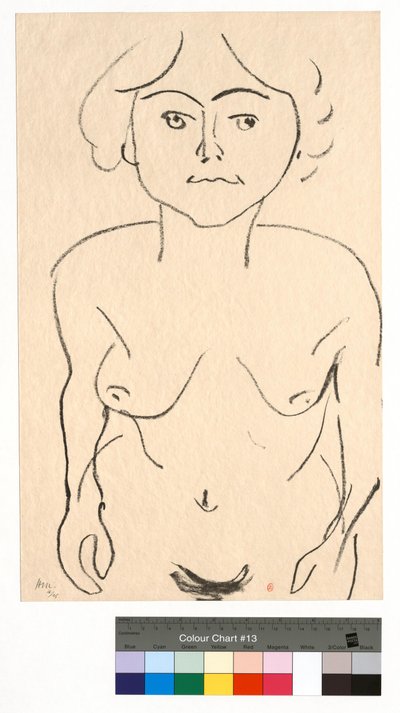 Naisalaston edestä, ylhäältä nähtynä tekijältä Henri Matisse