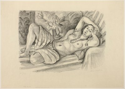 Odaliski ja magnolia tekijältä Henri Matisse