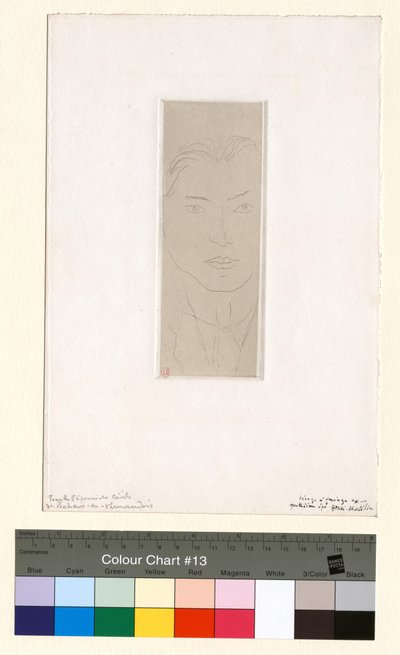 Olivares tekijältä Henri Matisse