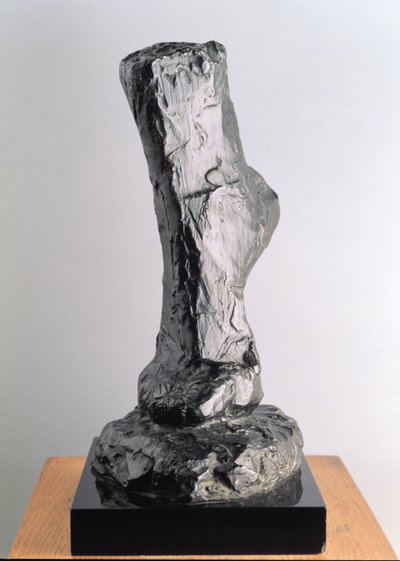 Jalan tutkimus tekijältä Henri Matisse