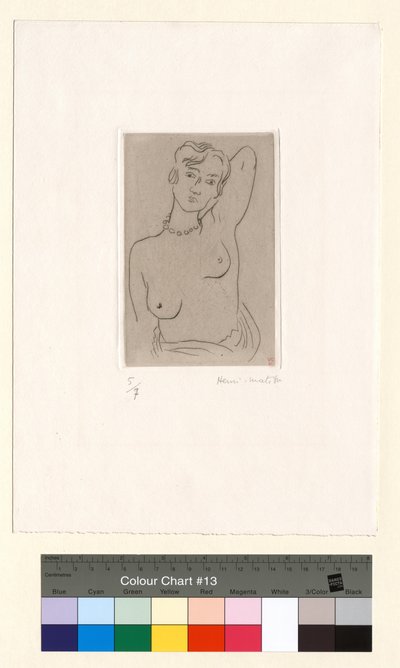  tekijältä Henri Matisse