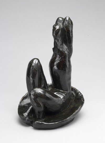 Venus kuoressa I tekijältä Henri Matisse