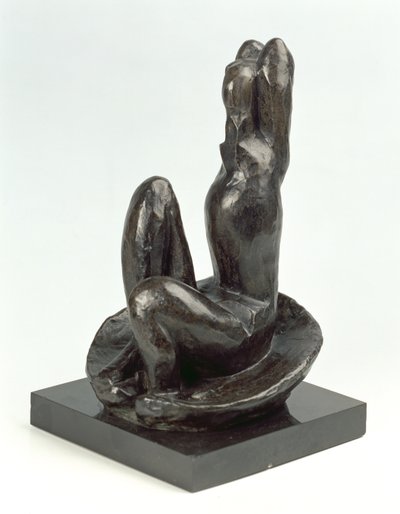 Venus kuoressa I tekijältä Henri Matisse