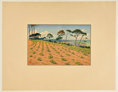 [Douarnenez nähtynä Ris-tieltä] tekijältä Henri Rivière