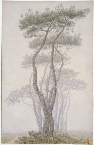  tekijältä Henri Rivière