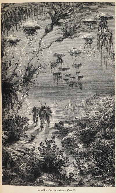 Jules Vernen kirjoittama kuvitus kappaleeseen "20 000 Leagues Under the Sea". tekijältä Henri Theophile Hildibrand