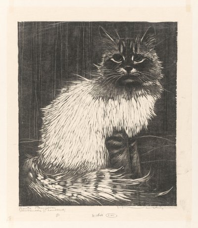 Bonte Angora (alkuperäinen nimi esineessä) tekijältä Henri Verstijnen (signed by artist)