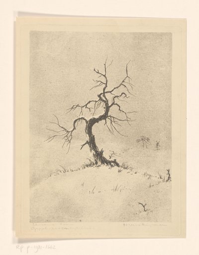 Lonely Tree (alkuperäinen nimi esineessä) tekijältä Henri Verstijnen (signed by artist)