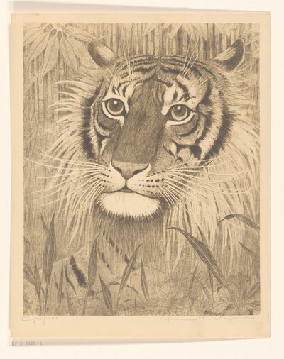 Tiikerin pää tekijältä Henri Verstijnen (signed by artist)