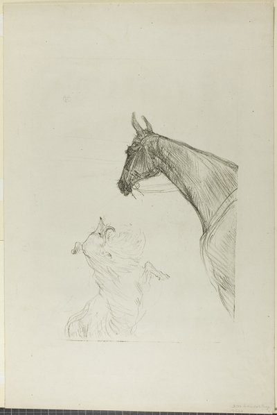 Hevonen ja collie tekijältä Henri de Toulouse Lautrec