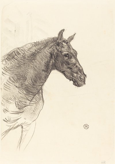 Vanha hevonen Vanha hevonen, 1897. tekijältä Henri de Toulouse Lautrec