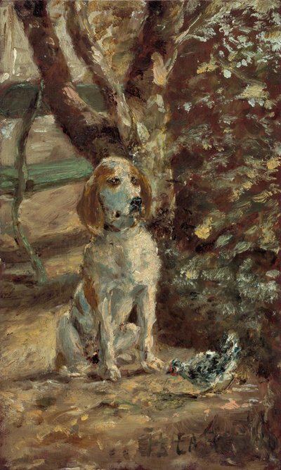 Taiteilijan koira Flèche, n. 1881. tekijältä Henri de Toulouse Lautrec
