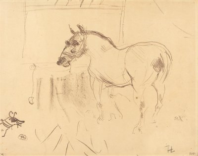 Pieni poni Calmeselta Pieni poni Calmeselta, 1899. tekijältä Henri de Toulouse Lautrec