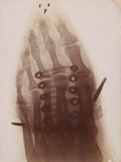 Jalka kengän läpi, 1896. tekijältä Henri van Heurck