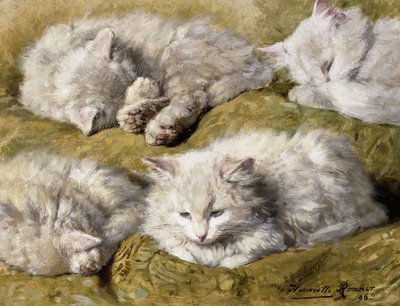Tutkimuksia pitkäkarvaisesta valkoisesta kissasta, 1896 tekijältä Henriëtte Ronner Knip