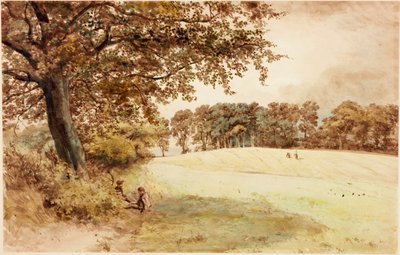 Benwell Hill Top (vartalon väri) tekijältä Henry Burdon Richardson