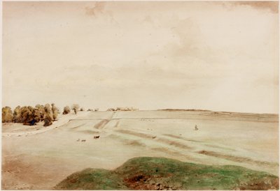 Down Hill, Northumberland (vartalon väri) tekijältä Henry Burdon Richardson