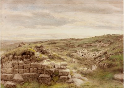 Housesteads (korinvärinen) tekijältä Henry Burdon Richardson