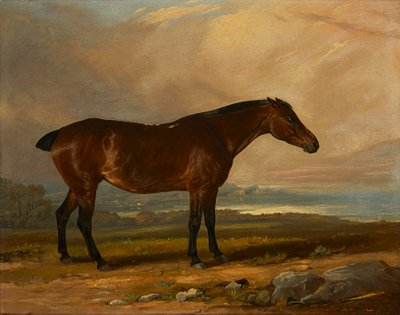 Tutkimus Bay Hunterista maisemassa (öljy kankaalle) tekijältä Henry Calvert