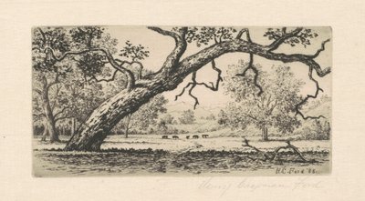 Paisatge de Califòrnia finès tekijältä Henry Chapman Ford
