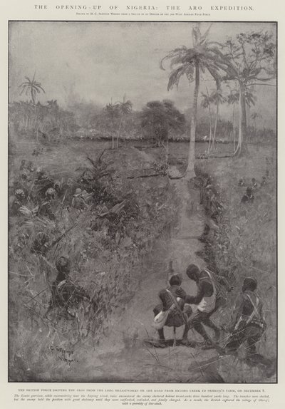 Nigerian avautuminen, Aro-retkikunta tekijältä Henry Charles Seppings Wright