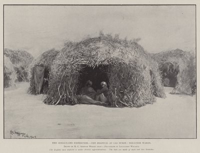 Somaliland Expedition, Las Durien sairaala, Isolation Wards tekijältä Henry Charles Seppings Wright