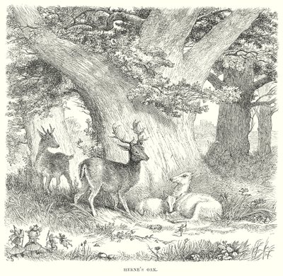The Merry Wives of Windsor (kaiverrus) tekijältä Henry Courtney (after) Selous