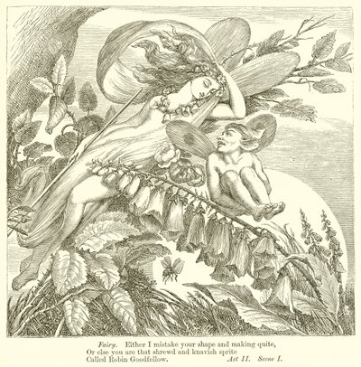 Juhannusyön unelma tekijältä Henry Courtney Selous