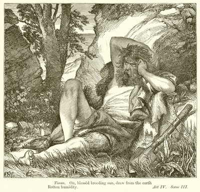 Timon Ateenasta tekijältä Henry Courtney Selous