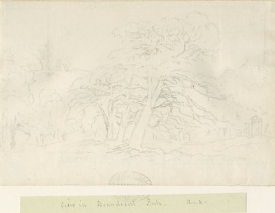 Beaudesert Park: lyijykynäpiirros, nd [1788-1855] tekijältä Henry Curzon Allport