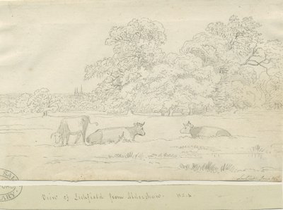 Lichfield - Näkymä Aldershawsta tekijältä Henry Curzon Allport