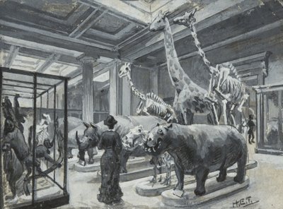 British Museumin sisäkuva, jossa näkyy eläinnäyttelyitä sisältävä galleria, n. 1880 tekijältä Henry Edward Tidmarsh