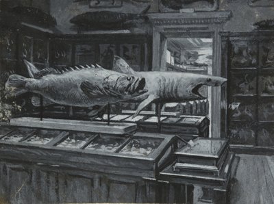 Sisäkuva British Museumista, jossa näkyy galleria kalanäyttelyistä, n. 1880 (pesu ja vartaloväri paperilla) tekijältä Henry Edward Tidmarsh