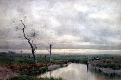 Coastal Marshlands (watercolor)finn tekijältä Henry Farrer