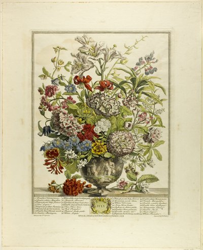 Heinäkuu, alkaen Twelve Months of Flowers tekijältä Henry Fletcher