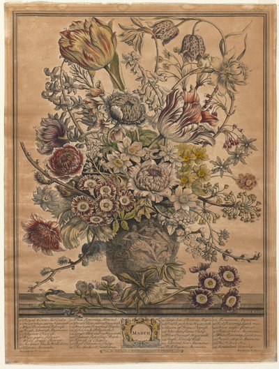 Dotze mesos de flors: Marchfinnish tekijältä Henry Fletcher