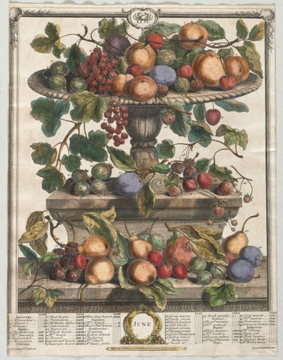 Kaksitoista hedelmäkuukautta: kesäkuuta 1732. tekijältä Henry Fletcher