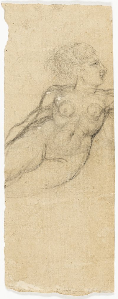 Alastonkuvia koskevat tutkimukset tekijältä Henry Fuseli