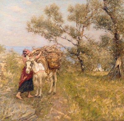 Ligurian oliivit tekijältä Henry Herbert La Thangue
