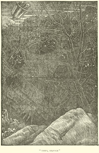 The Hunting of the Snark tekijältä Henry Holiday