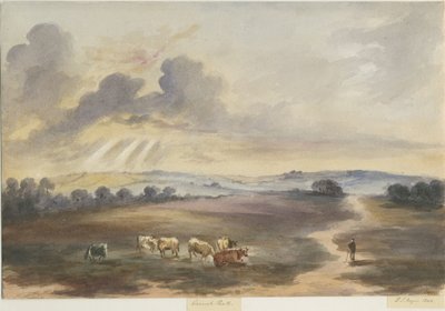 Cannock Chase - "Heath": akvarellimaalaus, 1844 tekijältä Henry James Noyes