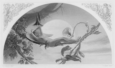 Ariel, kuvasta Royal Collectionissa (kaiverrus) tekijältä Henry James Townsend