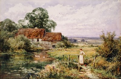 Ducksia katsomassa tekijältä Henry John Sylvester Stannard