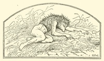 Jack my Hedgehog (kaiverrus) tekijältä Henry Justice Ford