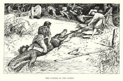 Cayman-saarten kaappaus (kaiverrus) tekijältä Henry Justice Ford