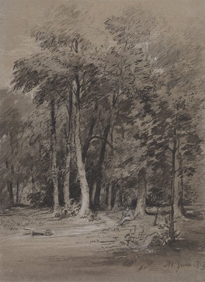 Metsäinen rata tekijältä Henry Monro