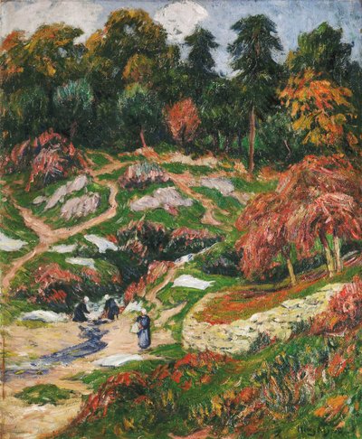 Pesula Doelanissa, Finisteressa; Le Levoir paikassa Doelan, Finistere, tekijältä Henry Moret