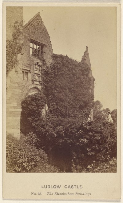 Ludlowin linna. Elisabetin ajan rakennukset. tekijältä Henry Peach Robinson