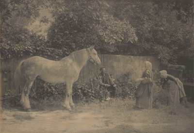 [Old Dapple] tekijältä Henry Peach Robinson